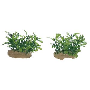 گیاه تزیینی آکواریوم مدل ap 3 بسته 2 عددی