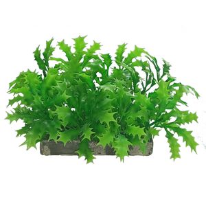 گیاه تزیینی آکواریوم مدل ap10