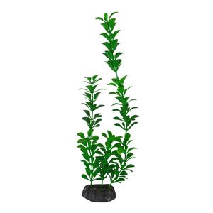 گیاه تزیینی آکواریوم مدل دلوین