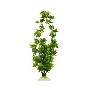 گیاه تزیینی آکواریوم مدل ریسه کد l_600