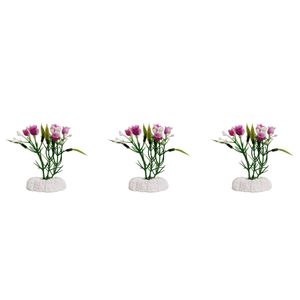 گیاه تزیینی آکواریوم کد 0060 بسته 3 عددی