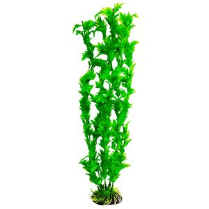 گیاه تزیینی آکواریوم کد 22