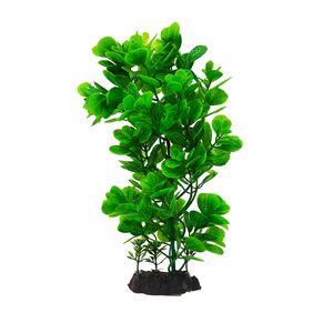 گیاه تزیینی آکواریوم کد f04
