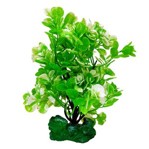 گیاه تزیینی آکواریوم کد r01