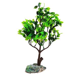 گیاه تزیینی آکواریوم کد s009