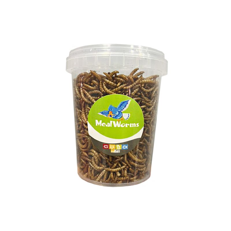تشویقی مرغ مینا شهرپت مدل mealworm وزن 100 گرم