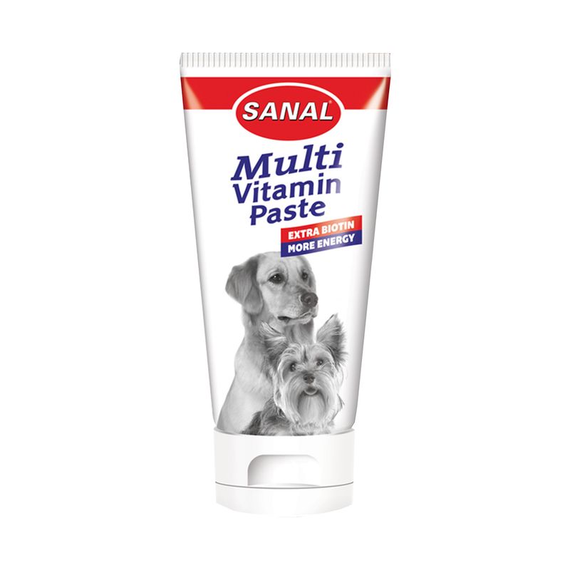 خمیر مولتی ویتامین سگ سانال مدل vitamin وزن 100 گرم