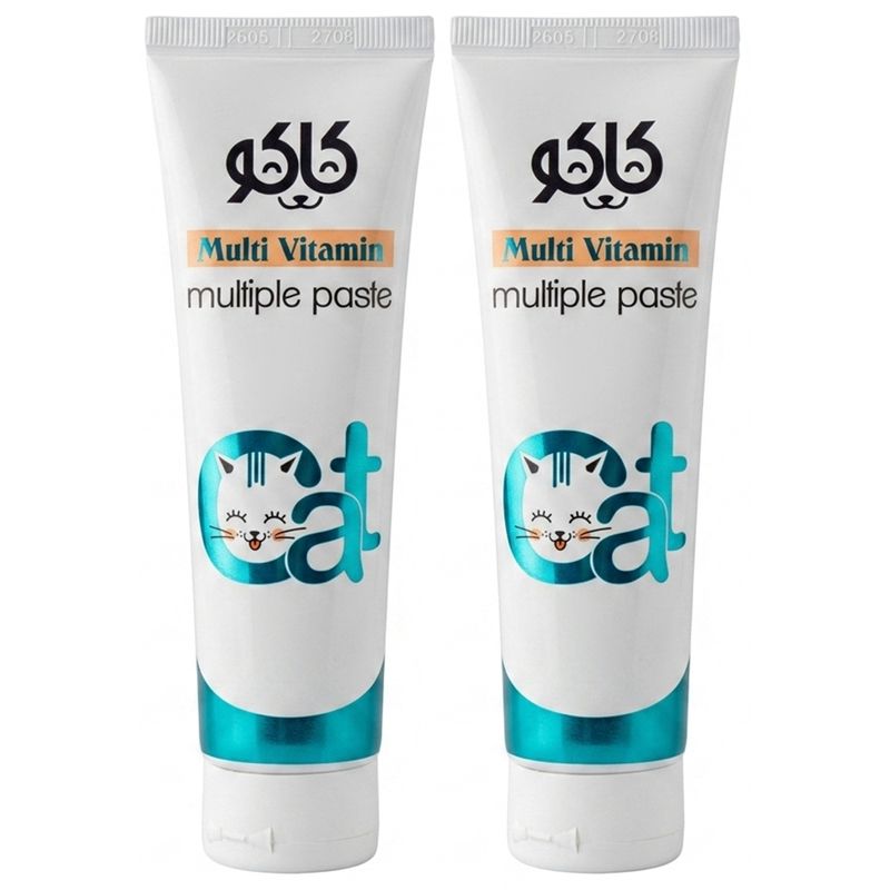 خمیر مولتی ویتامین گربه کاکو مدل multiple paste وزن 100 گرم بسته 2 عددی