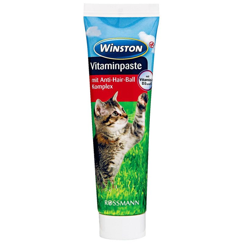 خمیر گربه وینستون مدل vitamin paste وزن 0.1 کیلوگرم