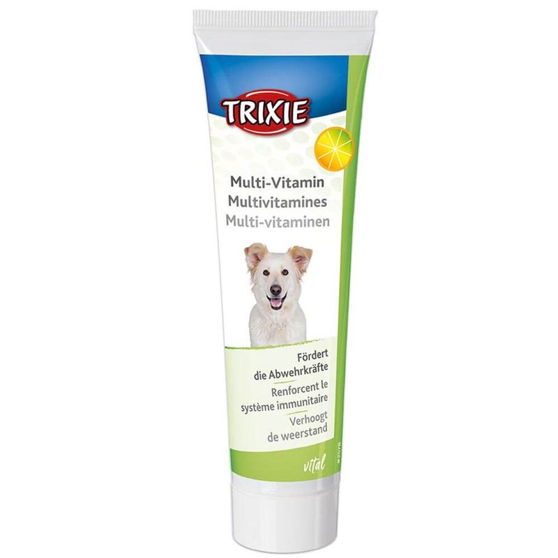 خمیرمولتی ویتامین سگ تریکسی مدل vital وزن 100 گرم