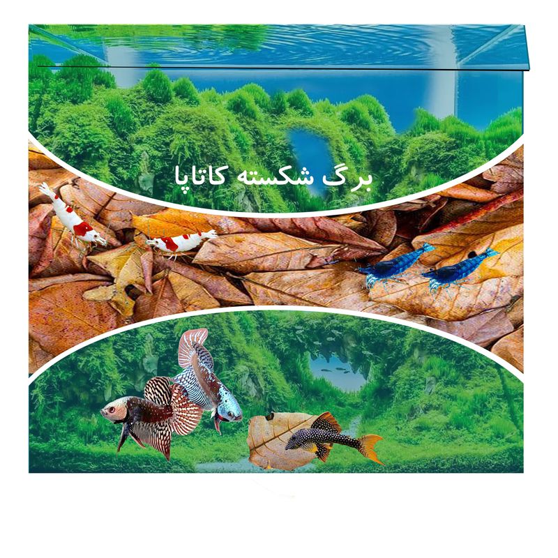 داروی ضد استرس ماهی آکواریوم مدل bk2022 حجم 10 میلی لیتر