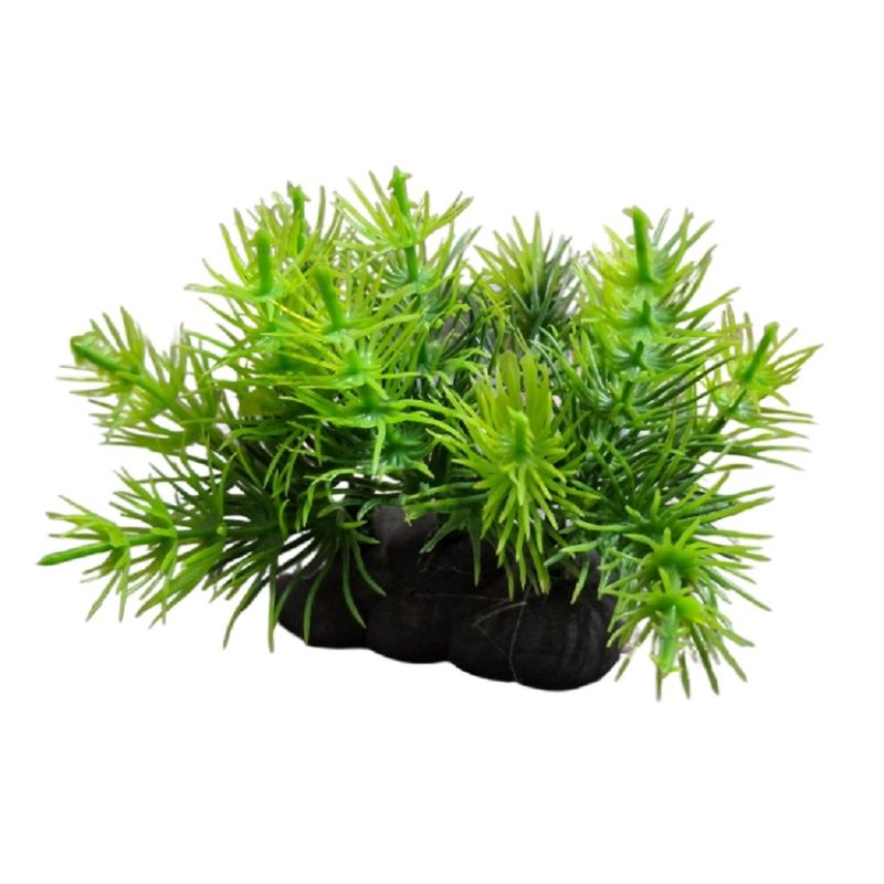 درختچه تزیینی آکواریوم مدل سوزنی کد 04