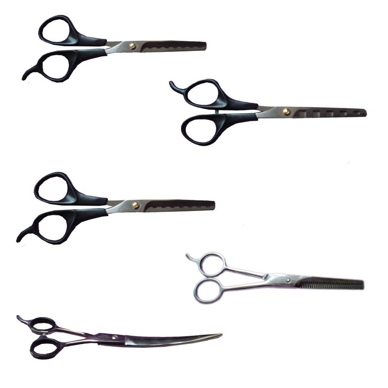 ست قیچی اصلاح موی حیوانات مدل cd 900 بسته 5 عددی