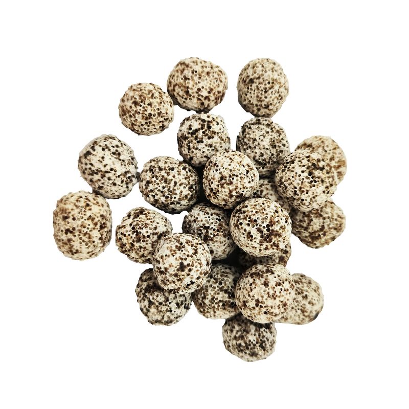 سرامیک آکواریوم مدل d3