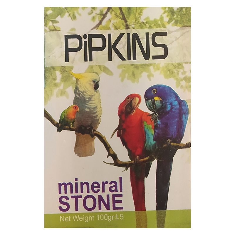 سنگ کلسیم پرنده مدل pipkins