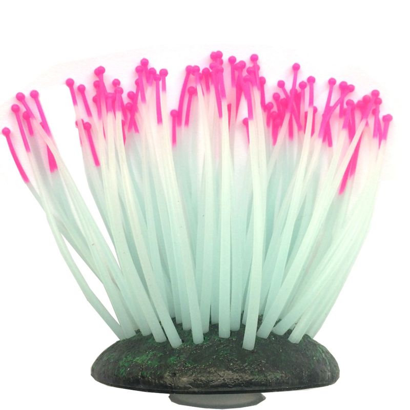 شقایق دریایی مصنوعی آکواریوم مدل fluorescent