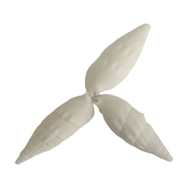 صدف تزئینی آکواریوم مدل c05 بسته 3 عددی