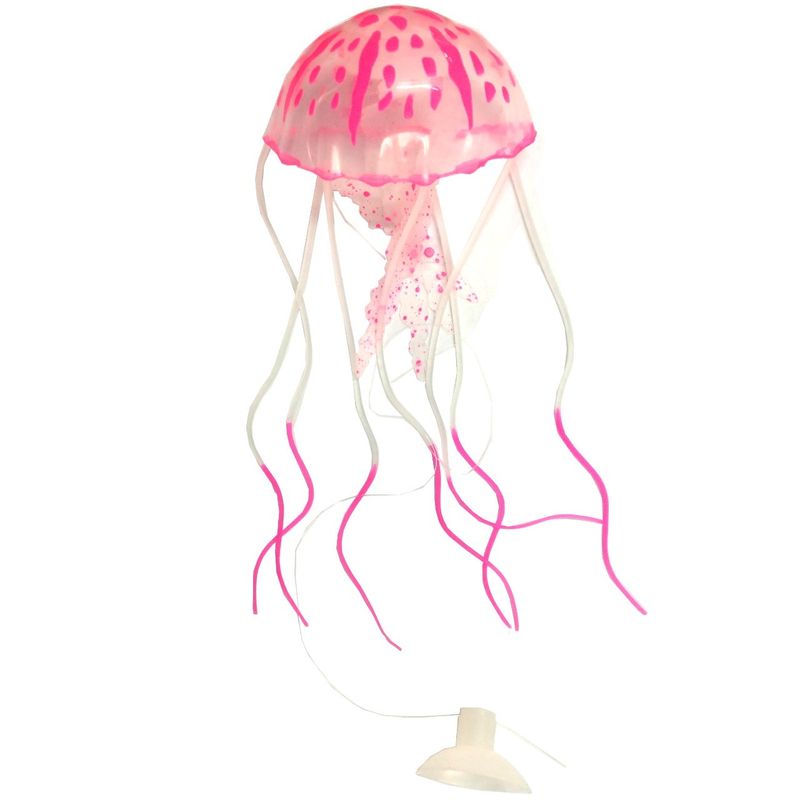 عروس دریایی صورتی رنگ مدل fluorescent سایز متوسط