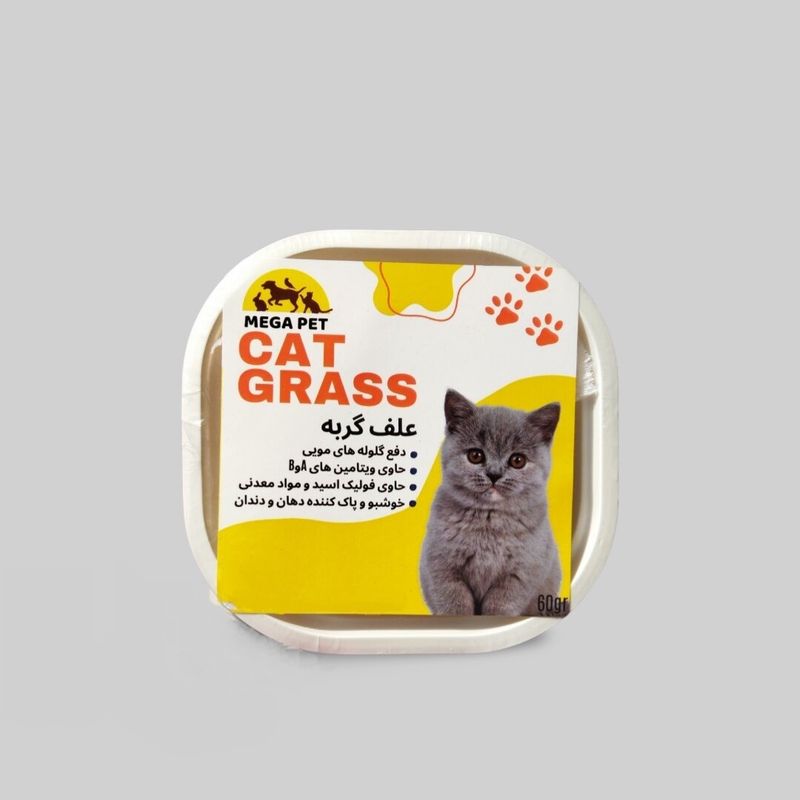 علف گربه مگاپت مدل catgrass وزن 65 گرم