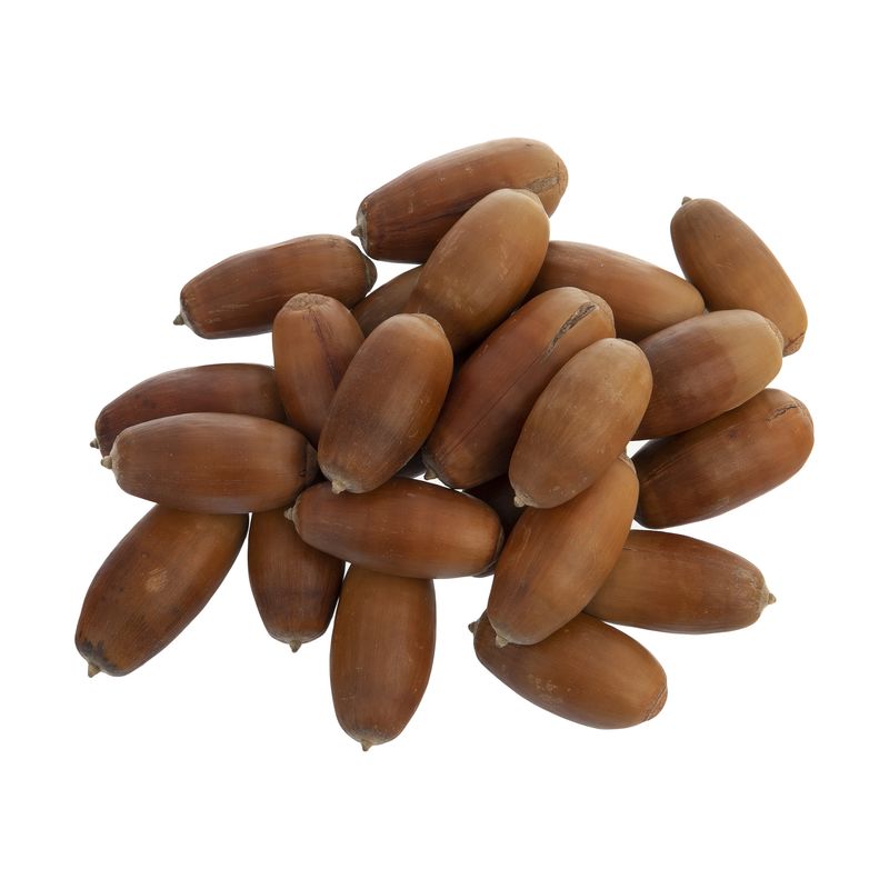غذای خرگوش مدل blt وزن 500 گرم