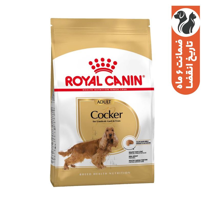غذای خشک سگ رویال کنین مدل cocker وزن 3 کیلوگرم