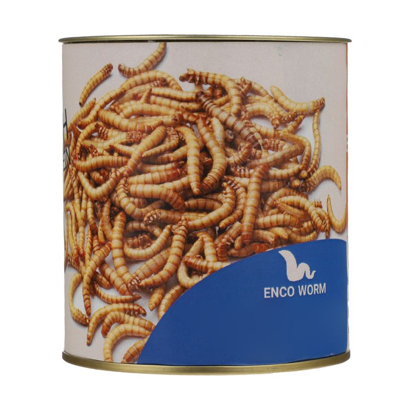 غذای خشک پرنده انکوورم مدل dried meal worm وزن 65 گرم