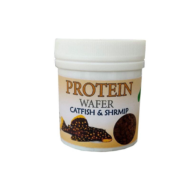 غذای ماهی کتفیش و کفخوار ها مدل protein وزن 50 گرم