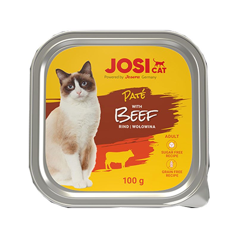 غذای کاسه ای گربه بالغ جوسرا مدل josicat pate beef طعم گوشت گاو وزن 100 گرم