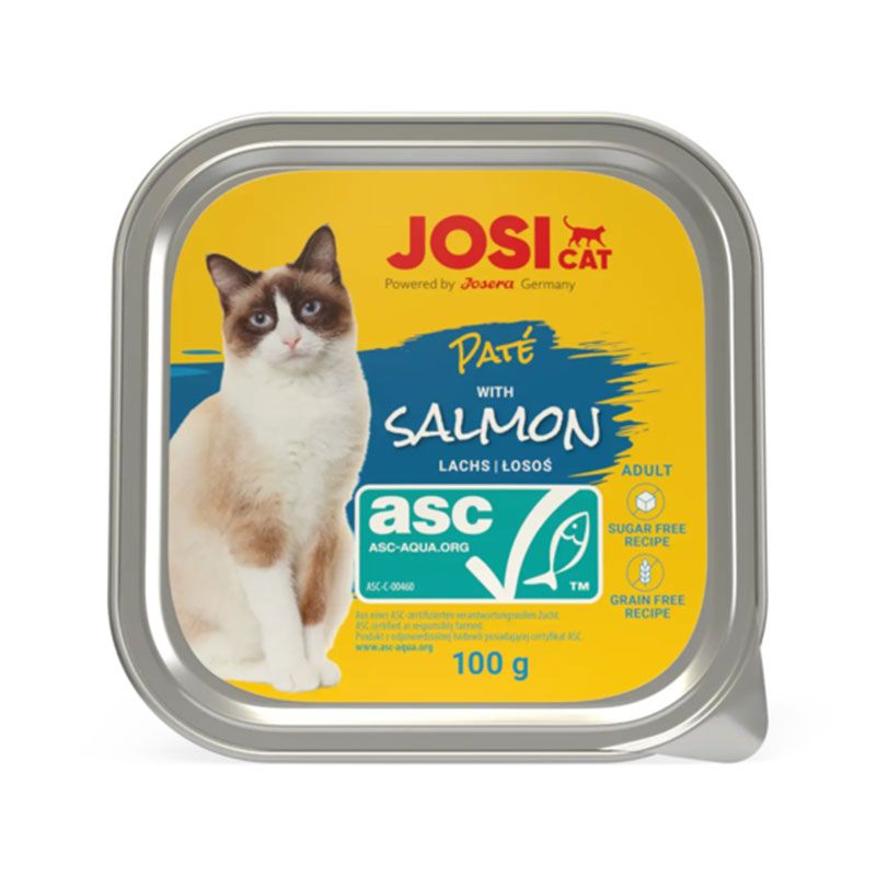 غذای کاسه ای گربه بالغ جوسرا مدل josicat pate salmon با طعم ماهی سالمون وزن 100 گرم