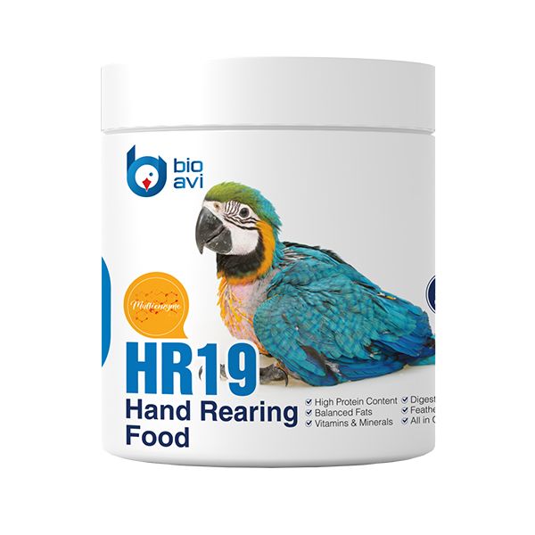 غذای کمکی طوطی سانان بایو اوی مدل hr19 وزن 500 گرم