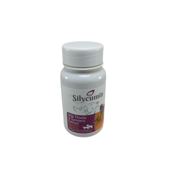 قرص مکمل سگ و گربه بایو پت اکتیو مدلsilycumin بسته 100 عددی