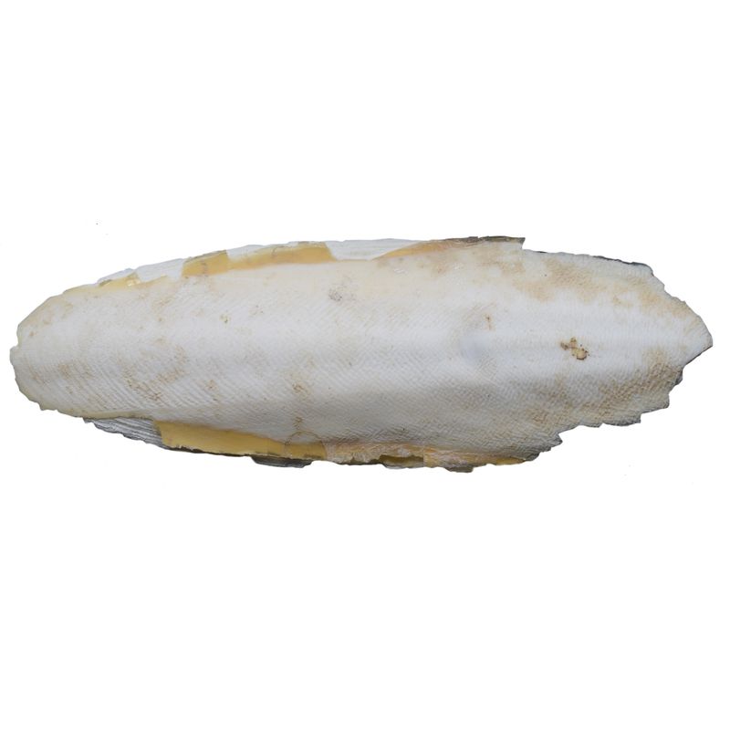 مکمل خوراکی حیوانات کد 001