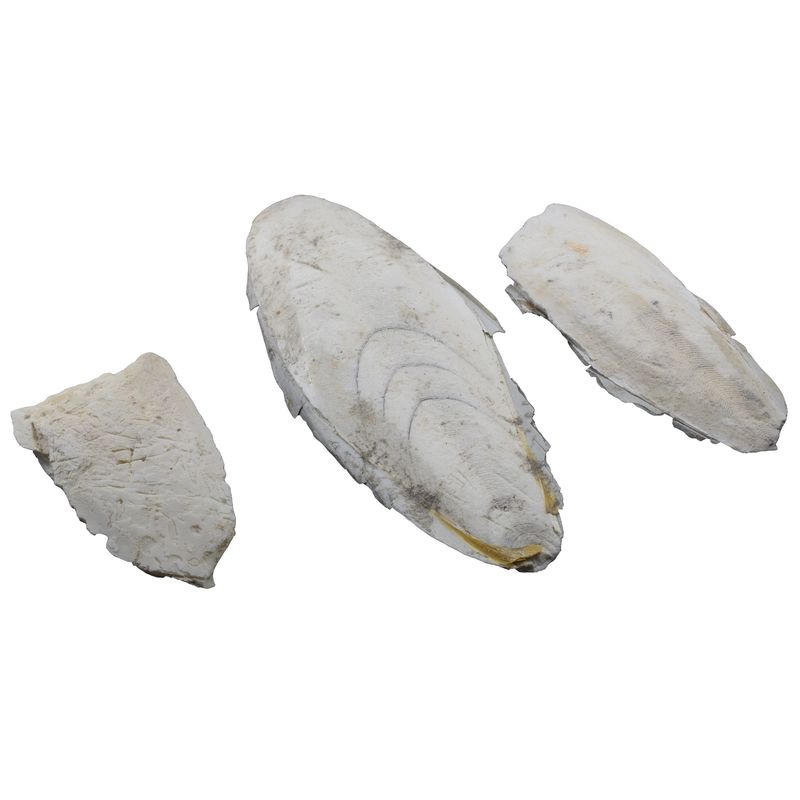 مکمل خوراکی حیوانات کد 002 مجموعه 3 عددی