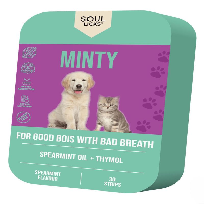 نوار مکمل سگ و گربه سول لیکس مدل minty بسته 10 عددی