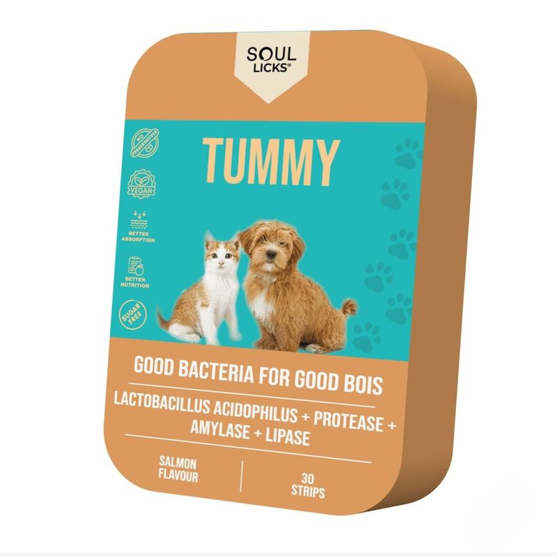 نوار مکمل سگ و گربه سول لیکس مدل tummy بسته 10 عددی