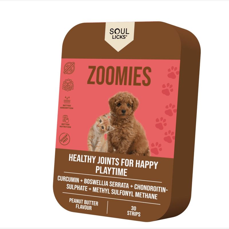 نوار مکمل سگ و گربه سول لیکس مدل zoomies بسته 10 عددی