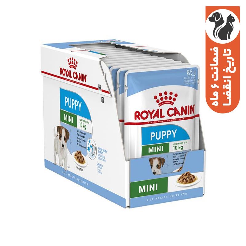 پوچ سگ رویال کنین مدل mini puppy وزن 85 گرم بسته 12 عددی