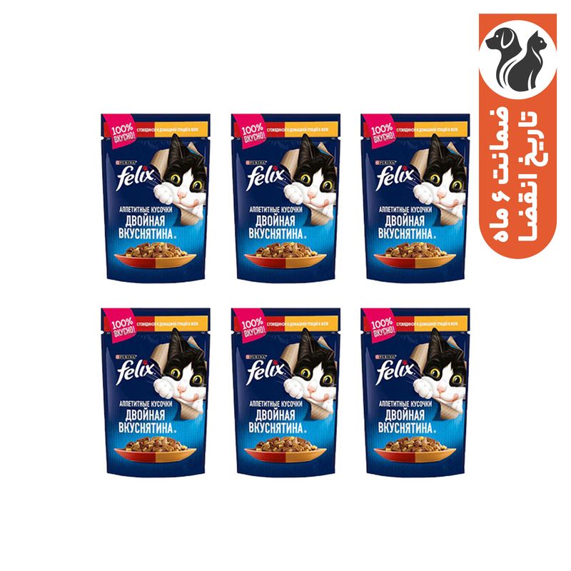پوچ گربه بالغ فلیکس مدل chicken & beef in jelly با طعم مرغ و گوشت گاو وزن 75 گرم بسته 6 عددی