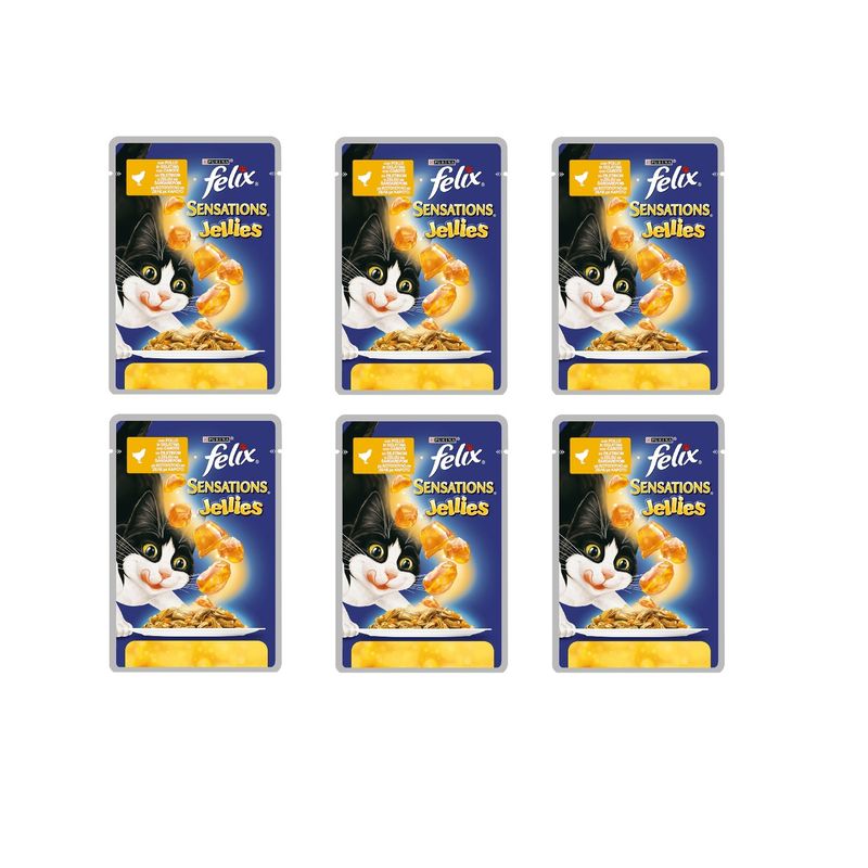 پوچ گربه بالغ فلیکس مدل chicken وزن 100 گرم مجموعه 6 عددی