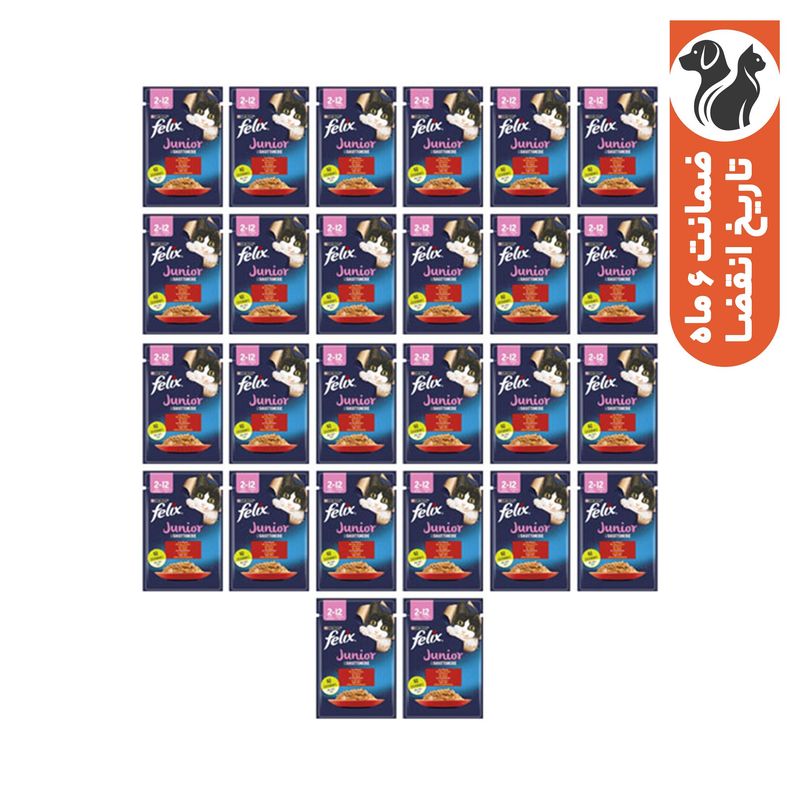 پوچ گربه بالغ فلیکس مدل the delicacies junior با طعم گوشت گاو بسته 26 عددی