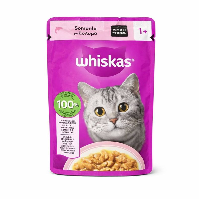 پوچ گربه بالغ ویسکاس مدل gravy طعم سالمون وزن 85 گرم