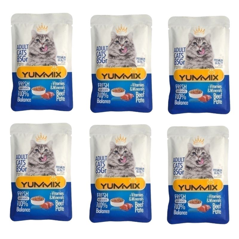 پوچ گربه بالغ یامیکس مدل پک پته طعم گوشت گاو بسته 6 عددی