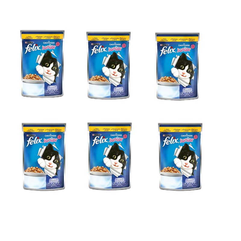 پوچ گربه جونیور مدل chicken وزن 100 گرم مجموعه 6 عددی