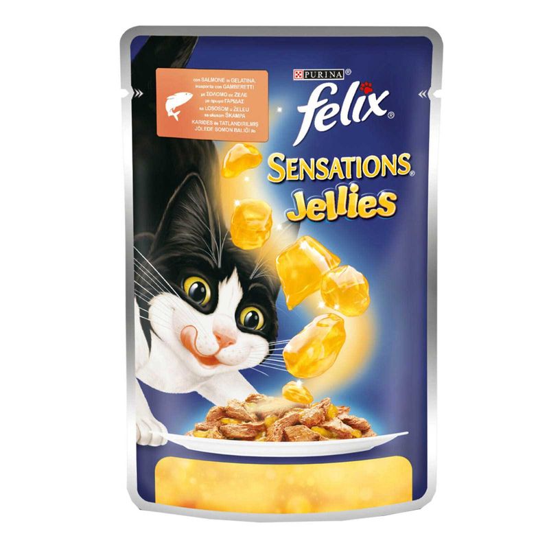 پوچ گربه فلیکس مدل salmone وزن 100 گرم