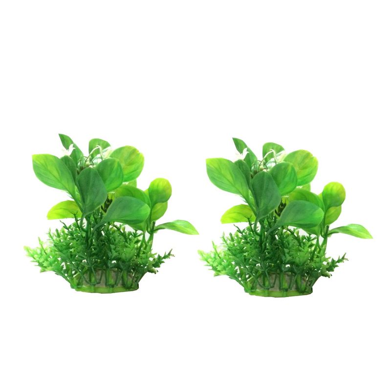 گیاه آکواریوم سوروم مدل a 106 بسته دو عددی