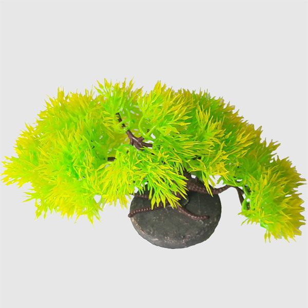 گیاه تزئینی آکواریوم کد ma1415