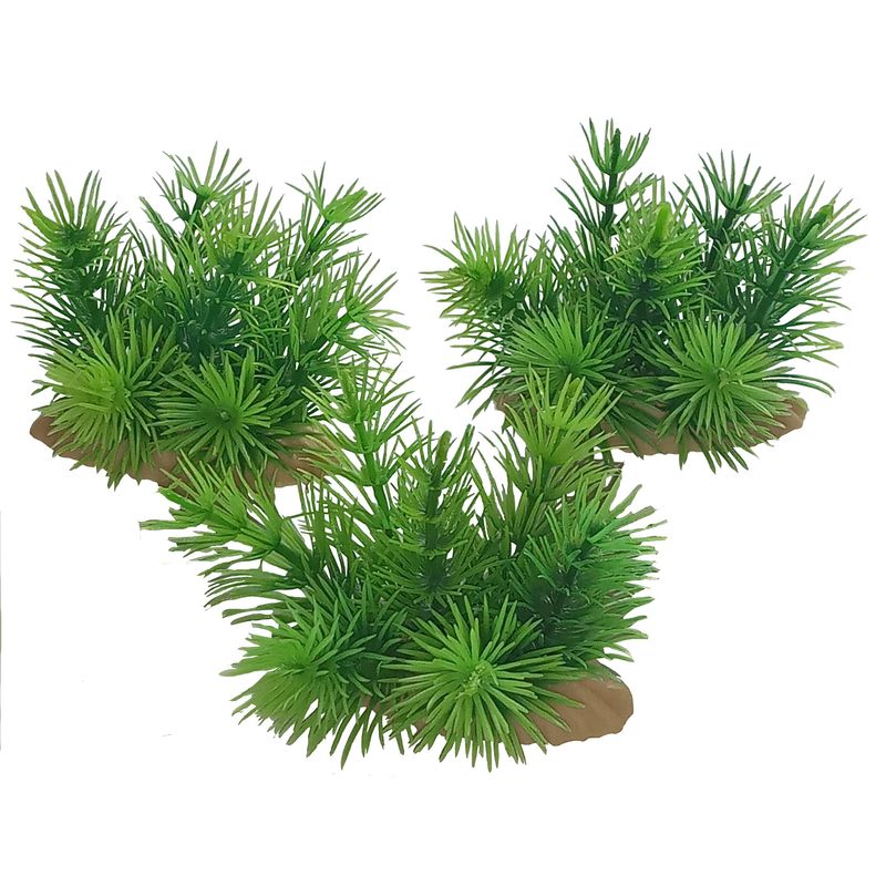 گیاه تزیینی آکواریوم مدل ap 2 بسته 3 عددی