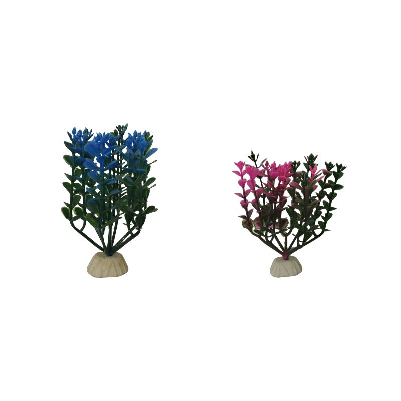 گیاه تزیینی آکواریوم مدل b14 بسته 2 عددی