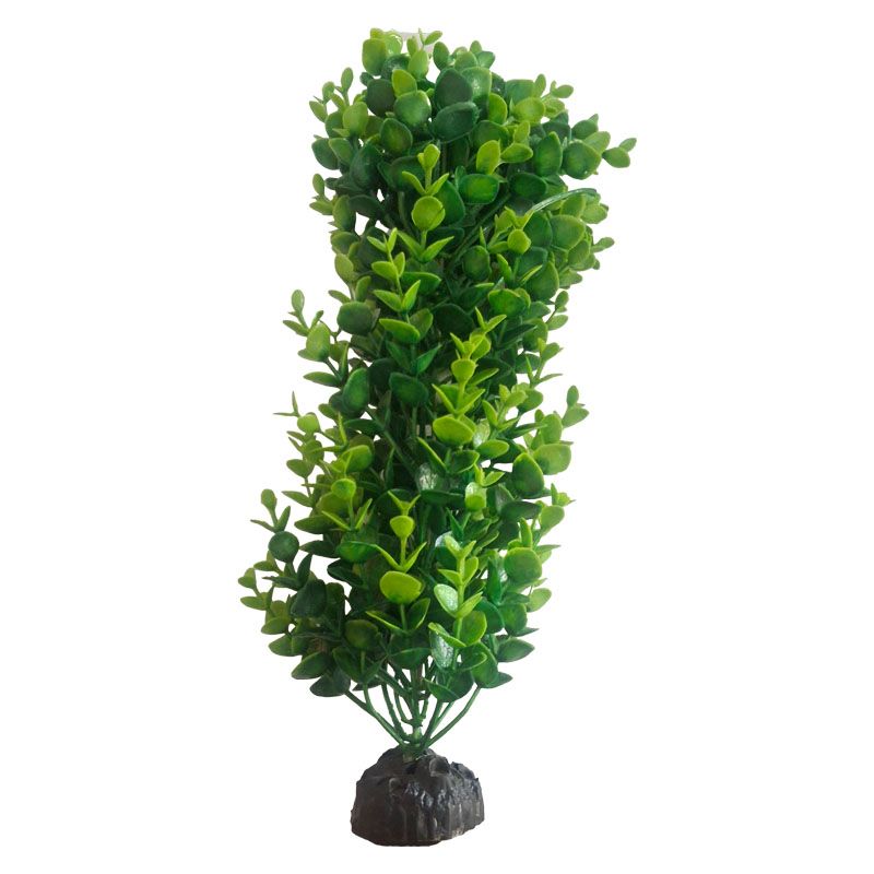 گیاه تزیینی آکواریوم مدل fs2