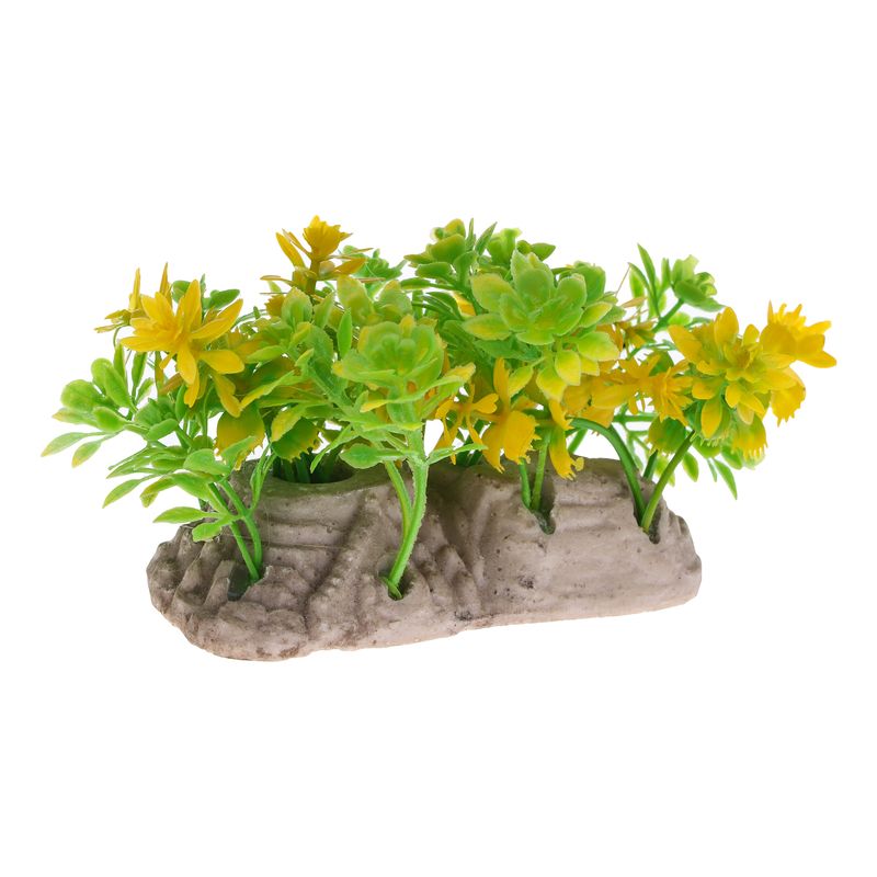 گیاه تزیینی آکواریوم مدل k 500